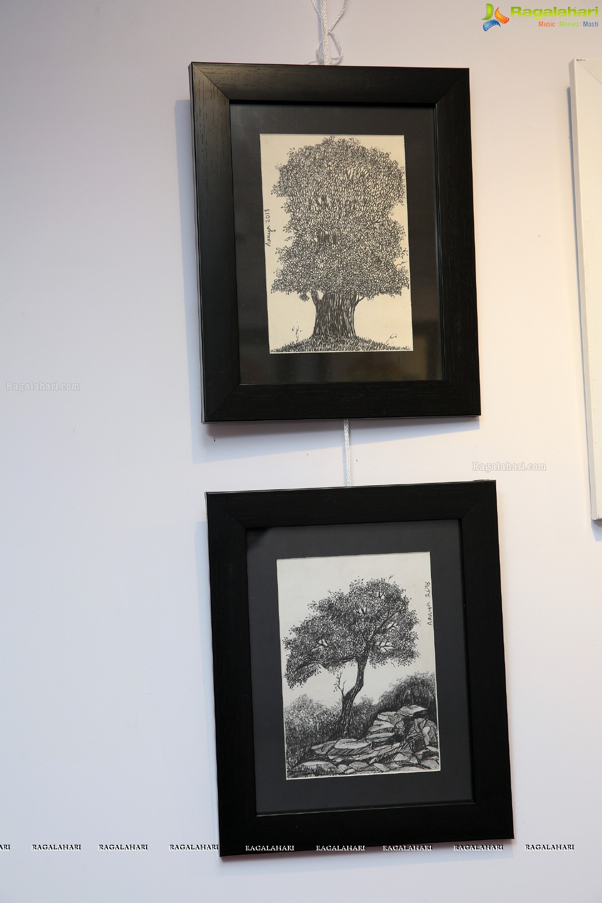 Blooming Buds - An Exhibition of Drawings & Paintings at Pegasus Art Gallery