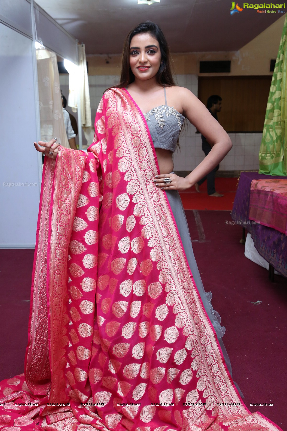 Indian Silk Expo Launch by Ashi Roy Ttown upcoming actress at Sri Satya Sai Nigamagamam