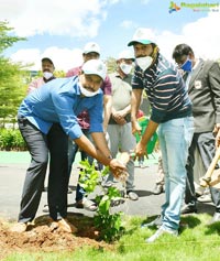 Chiranjeevi, Pawan Promote 1 Lakh Tree Plantation Mission