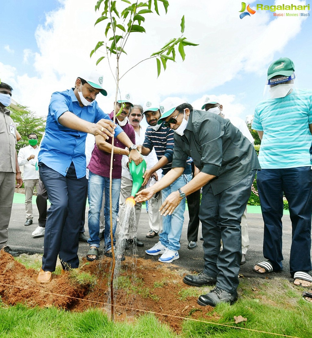 Chiranjeevi, Pawan Kalyan Promote 1 Lakh Tree Plantation Mission