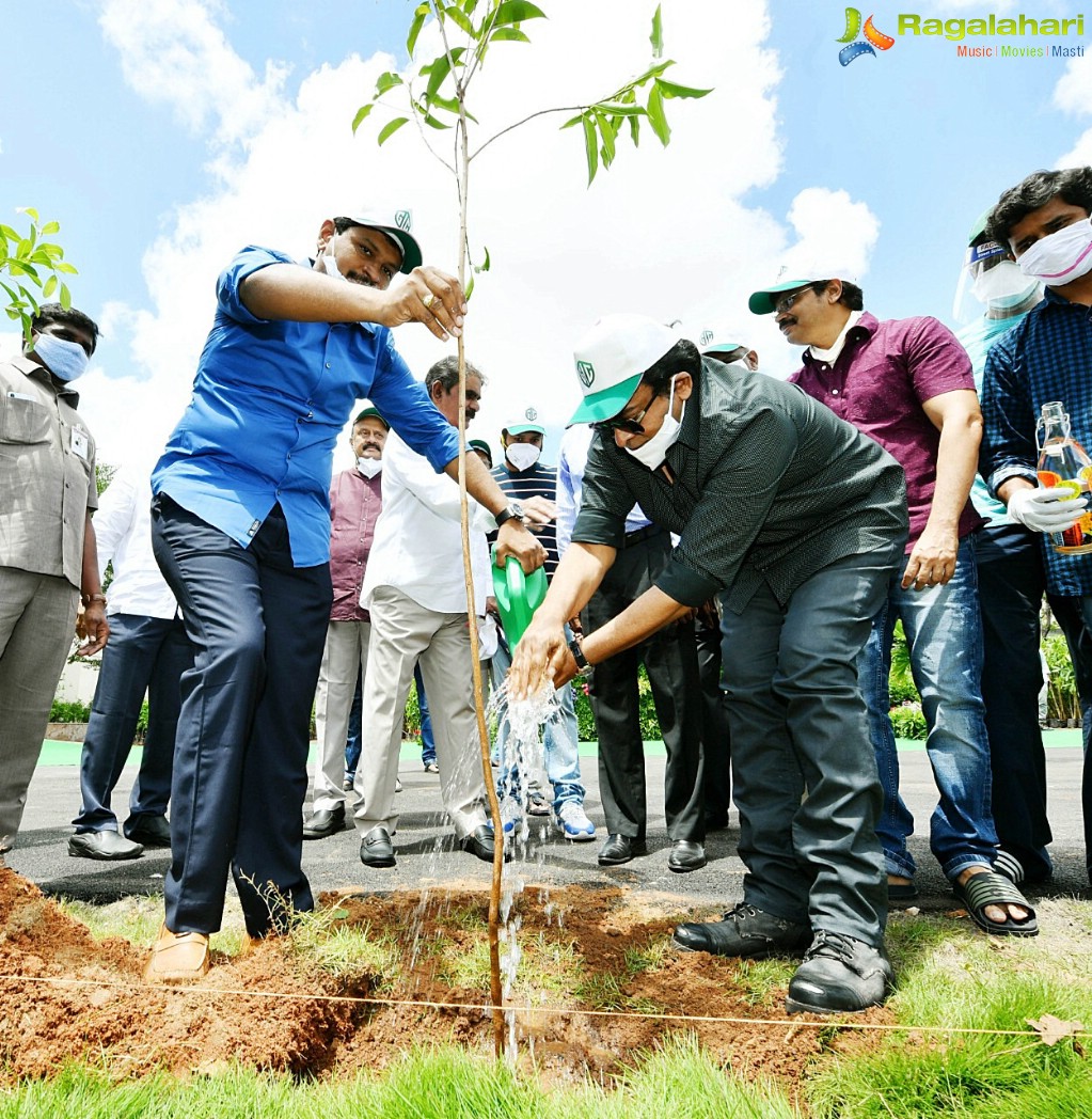 Chiranjeevi, Pawan Kalyan Promote 1 Lakh Tree Plantation Mission