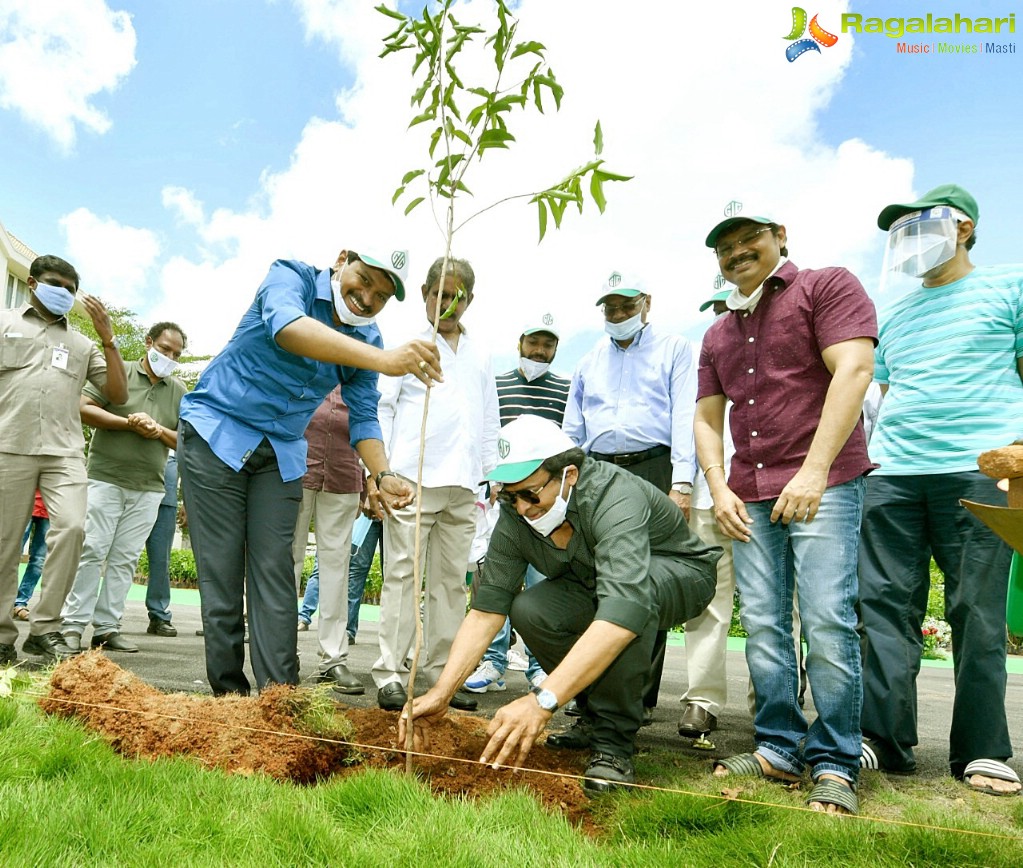 Chiranjeevi, Pawan Kalyan Promote 1 Lakh Tree Plantation Mission