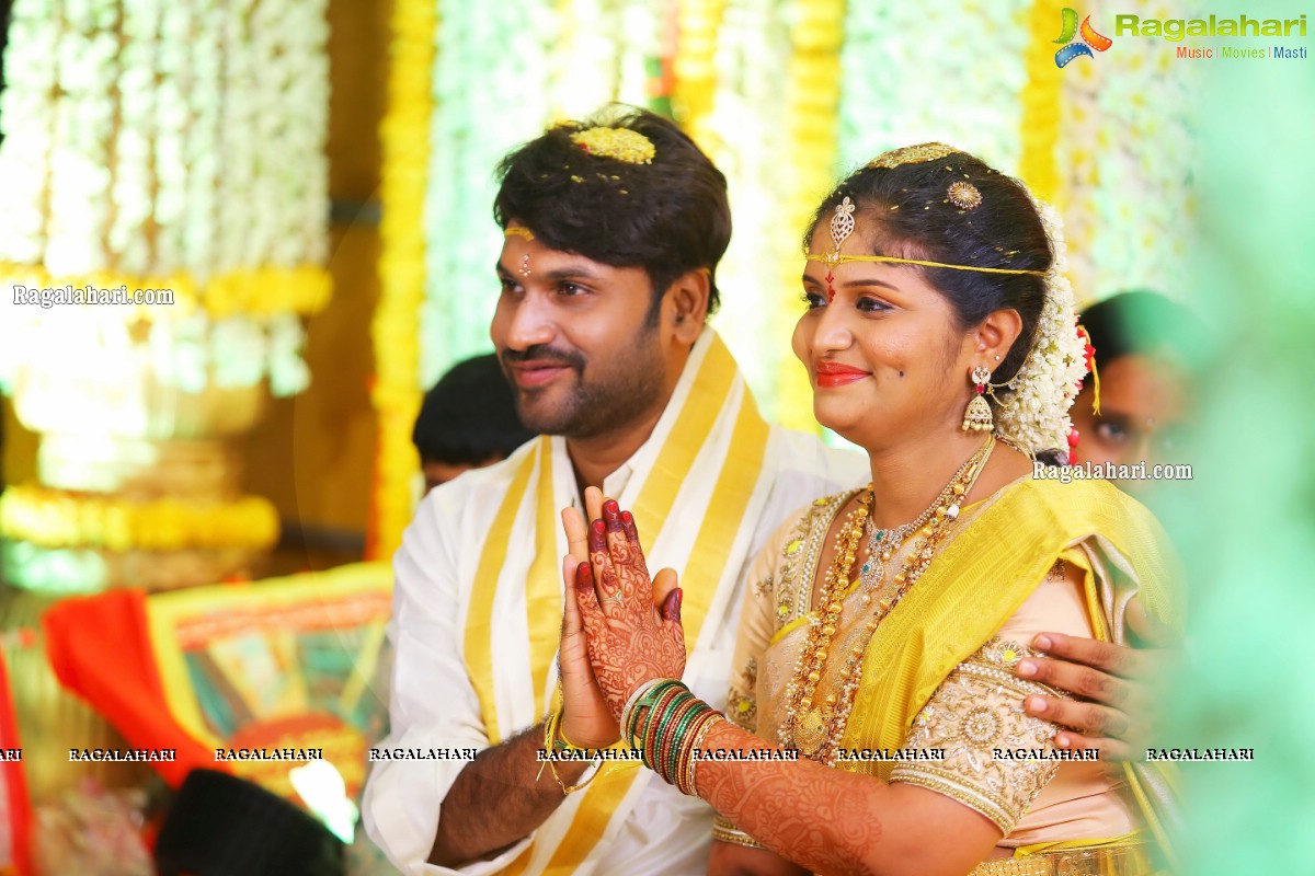 Producer Vallurupalli Ramesh's Son Maharshi Wedding Photos