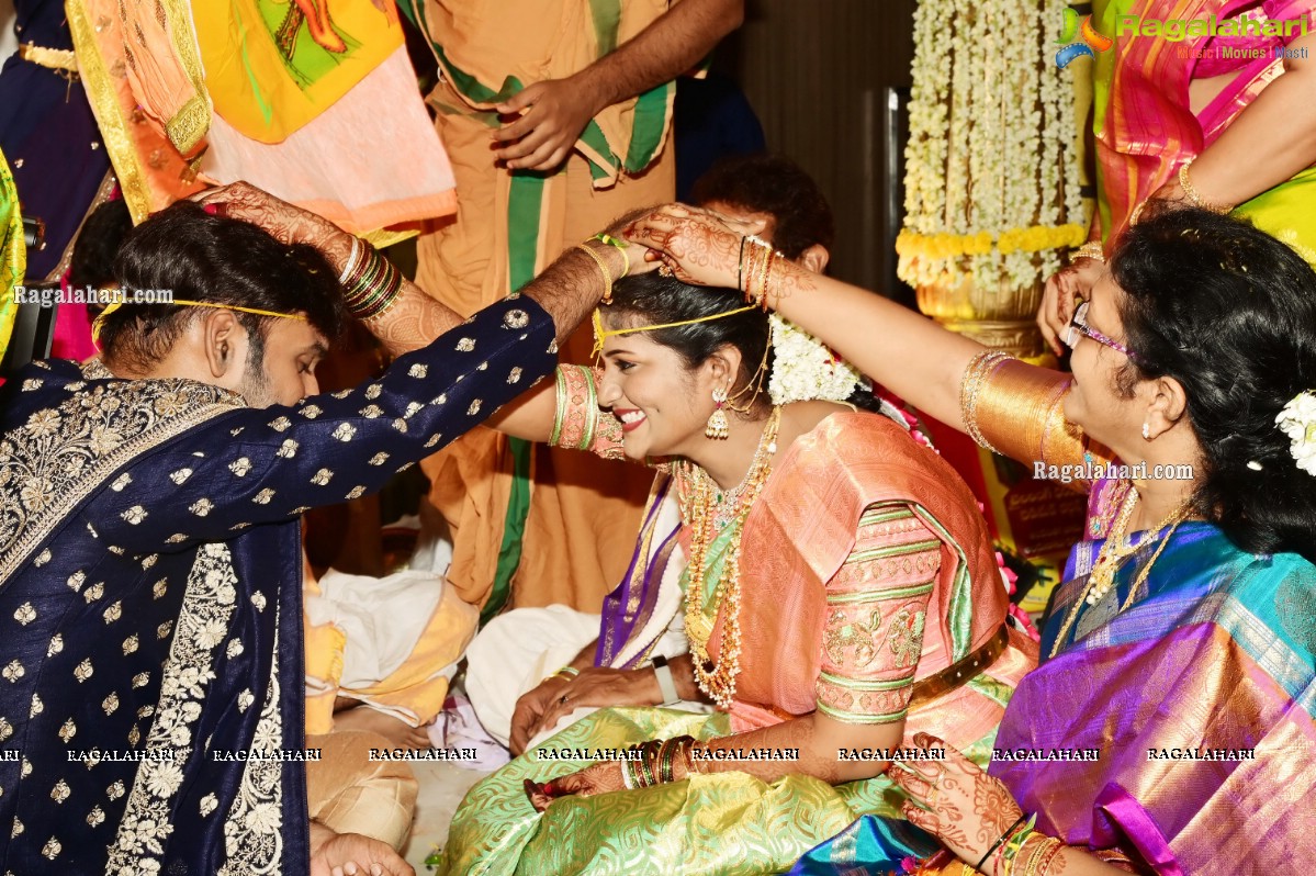 Producer Vallurupalli Ramesh's Son Maharshi Wedding Photos