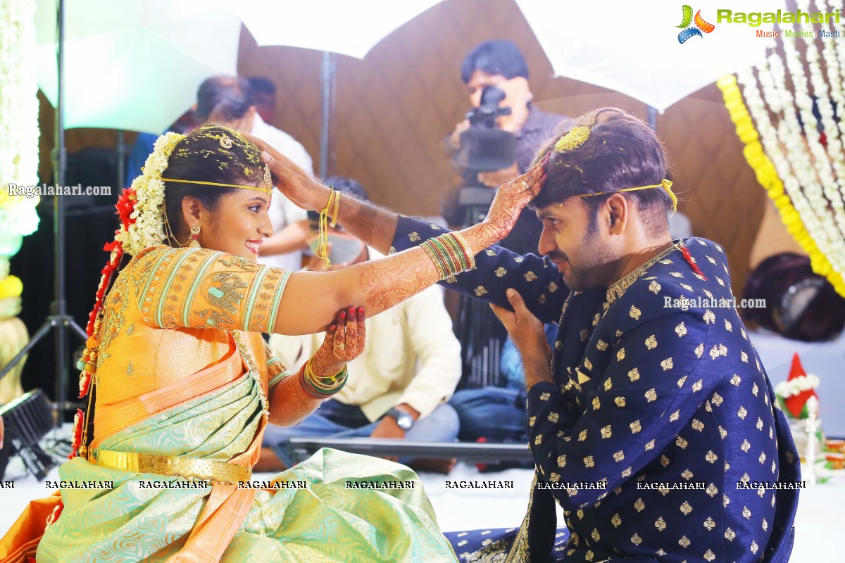 Producer Vallurupalli Ramesh's Son Maharshi Wedding Photos