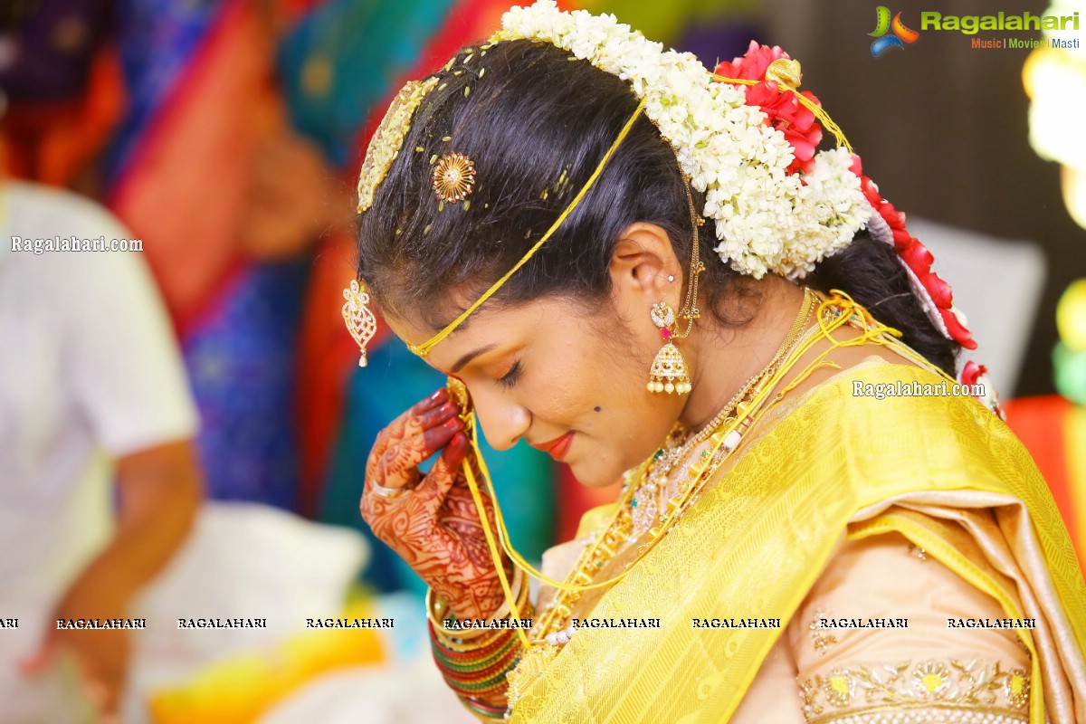 Producer Vallurupalli Ramesh's Son Maharshi Wedding Photos