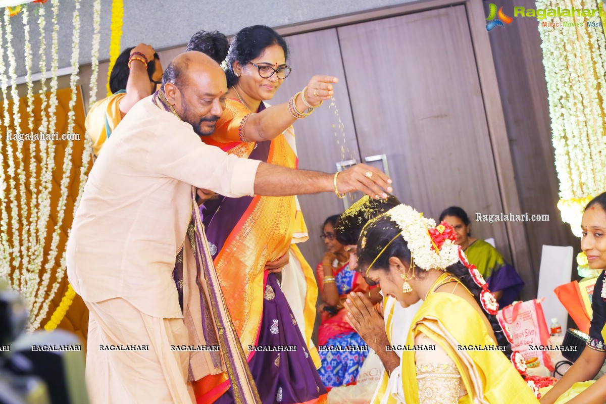 Producer Vallurupalli Ramesh's Son Maharshi Wedding Photos