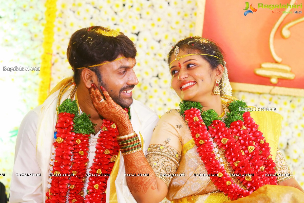 Producer Vallurupalli Ramesh's Son Maharshi Wedding Photos