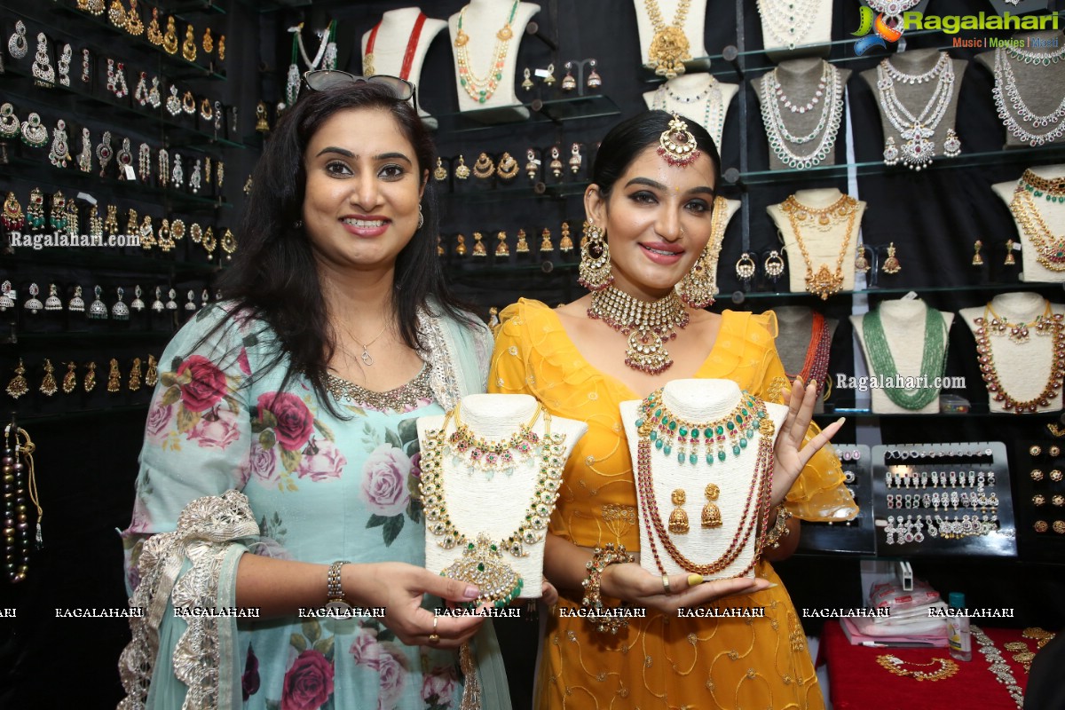 The Haat - Premium Heritage Expo Begins at Taj Krishna