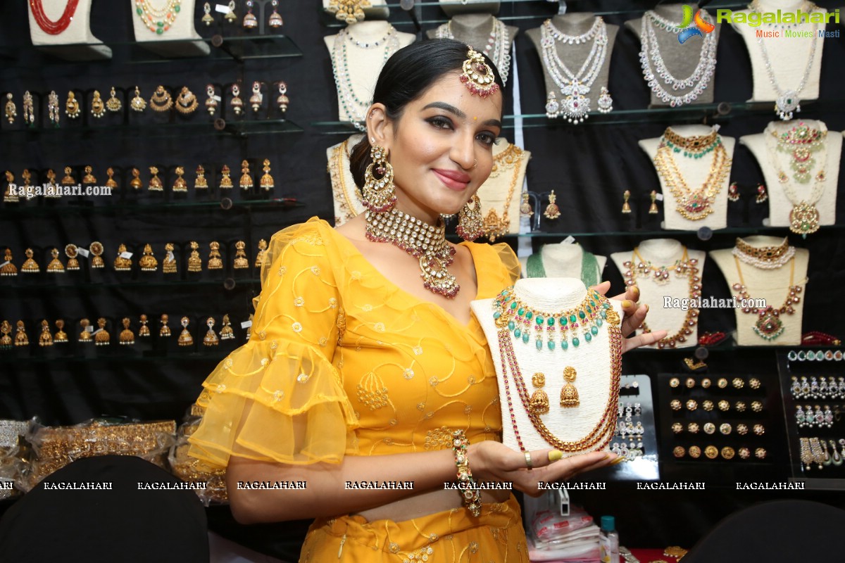 The Haat - Premium Heritage Expo Begins at Taj Krishna