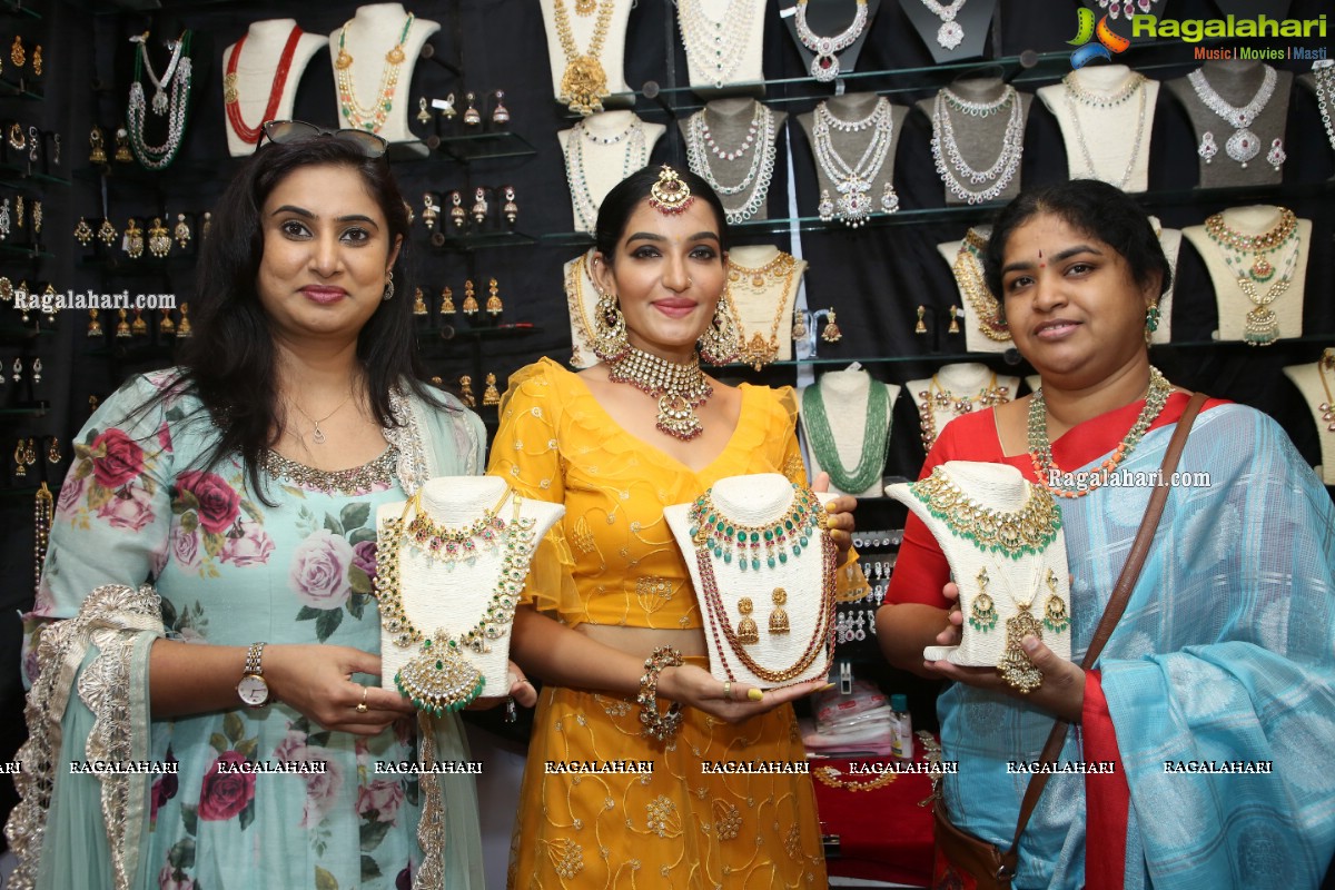 The Haat - Premium Heritage Expo Begins at Taj Krishna