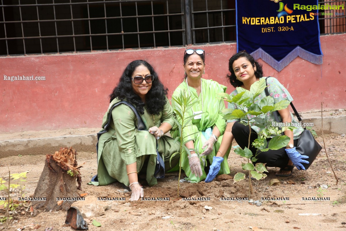 Vana Mahotsav - Tree plantation by Lions Club of Hyderabad Petals