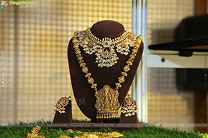 Showcase of Jewellery by C. Krishnaiah Chetty Jewellers