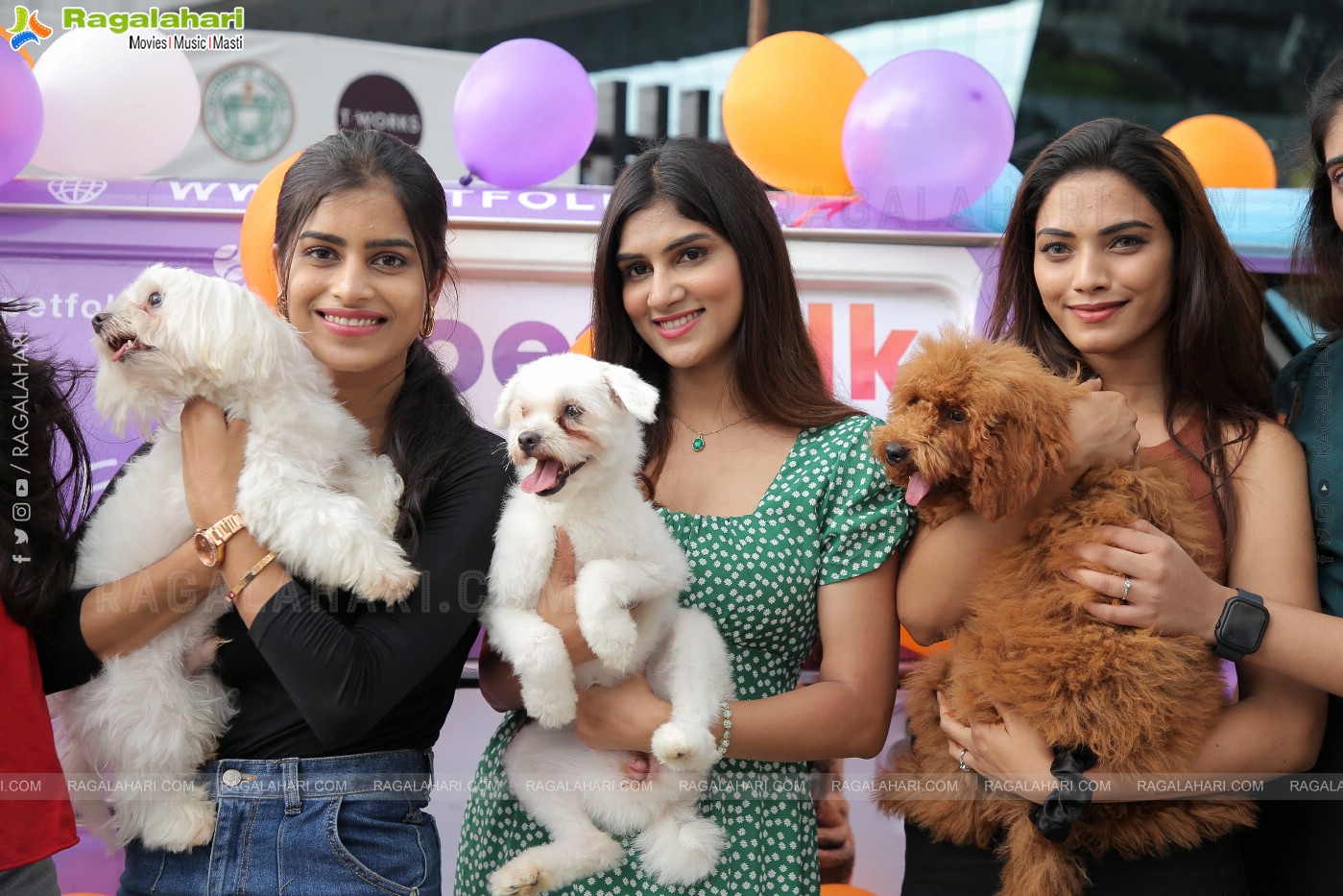 Petfolk Social Media App For Pets Launches Petfolk Van