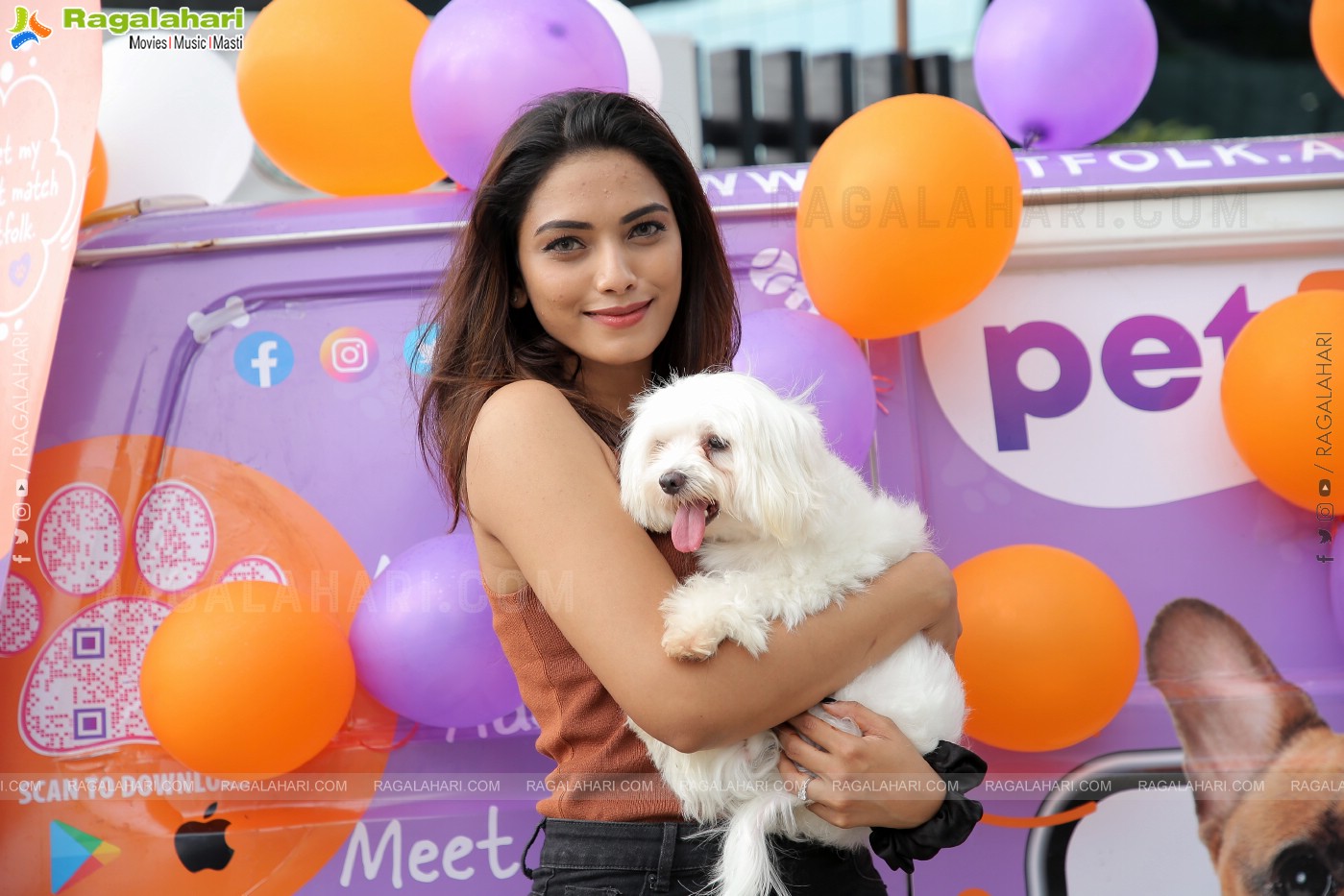 Petfolk Social Media App For Pets Launches Petfolk Van