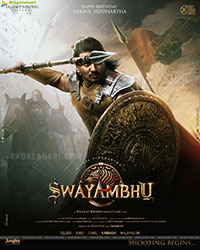 Swayambhu Movie Poster Designs
