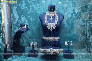 Grand Launch of Hi Life Jewels Exhibition at HICC-Novotel