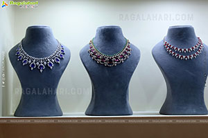 Grand Launch of Hi Life Jewels Exhibition at HICC-Novotel