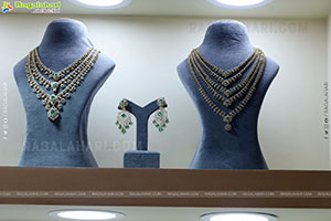 Grand Launch of Hi Life Jewels Exhibition at HICC-Novotel