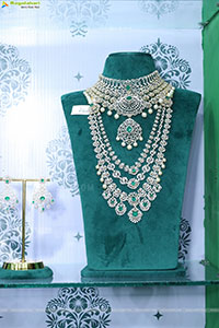 Grand Launch of Hi Life Jewels Exhibition at HICC-Novotel