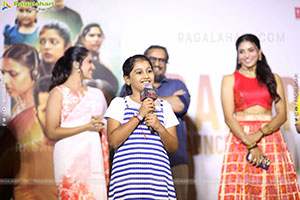 Thammudu Movie Trailer Launch Event