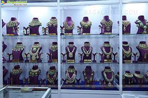 Hi Life Brides Exhibition June 2025 at Novotel, Vijayawada