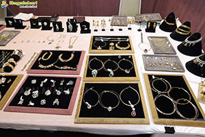 Hi Life Brides Exhibition June 2025 at Novotel, Vijayawada