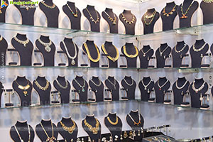 Hi Life Fashion Lifestyle and Special Exhibition Launch