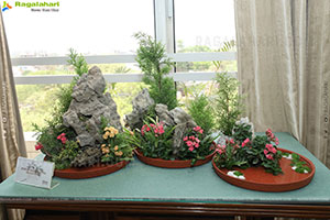 Ikebana International Hyderabad Chapter #250 Event