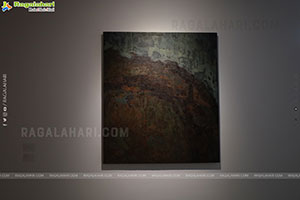 Dhi Contemporary: Protocols of Living Exhibition, Hyderabad