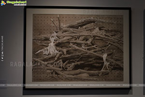 Dhi Contemporary: Protocols of Living Exhibition, Hyderabad