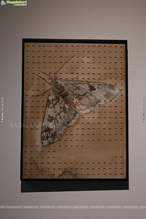 Dhi Contemporary: Protocols of Living Exhibition, Hyderabad