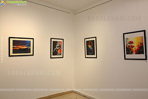 Nature Scapes: Echoes of Ochre Exhibition, Hyderabad