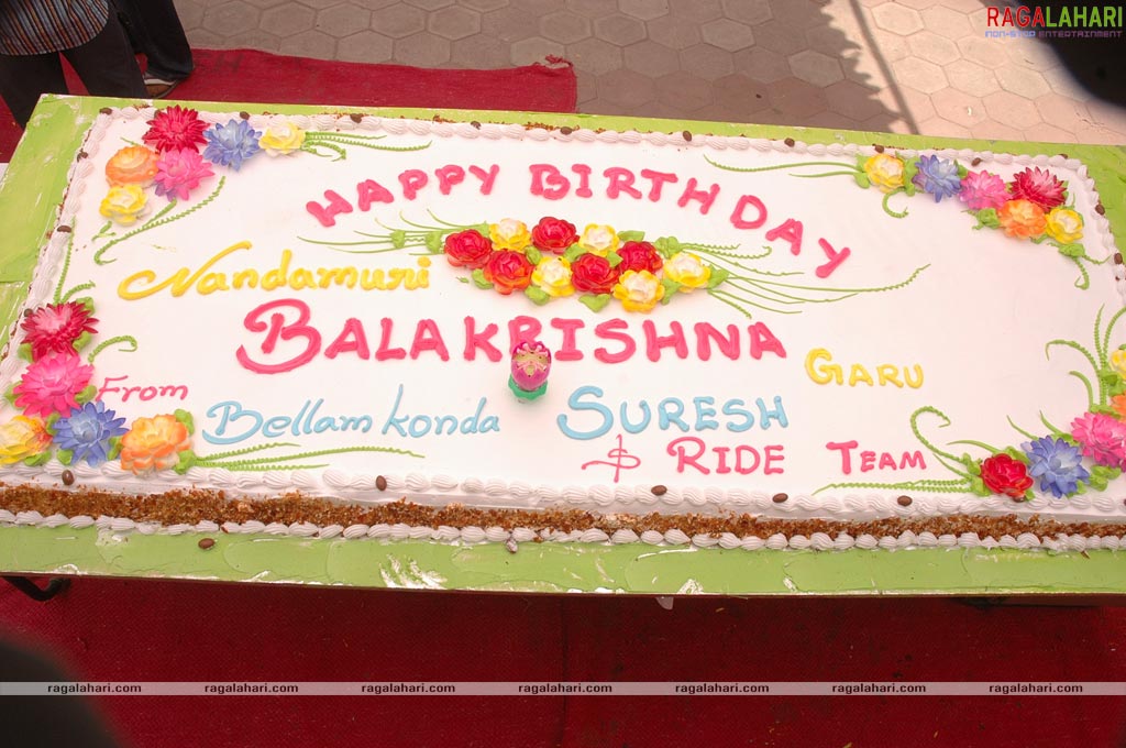 Balakrishna Birthday Function 2009