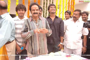 Balakrishna Birthday Function 2009