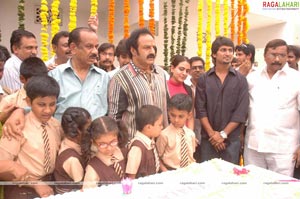 Balakrishna Birthday Function 2009