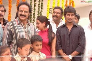 Balakrishna Birthday Function 2009