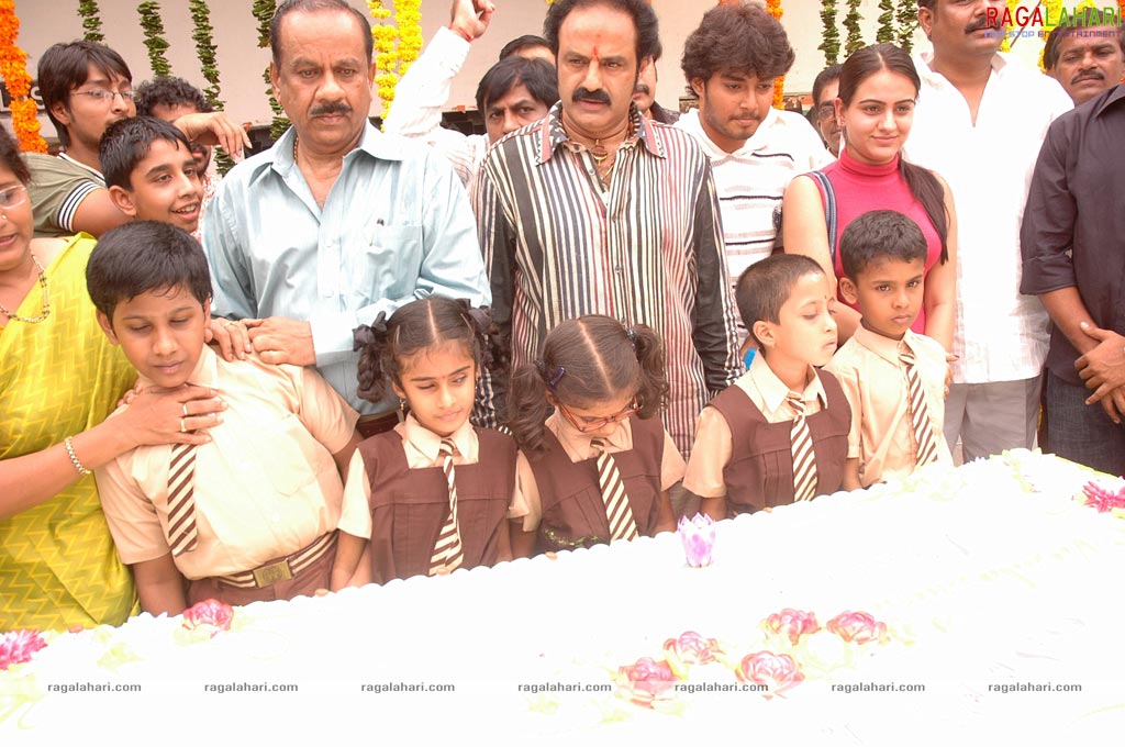 Balakrishna Birthday Function 2009