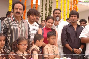 Balakrishna Birthday Function 2009