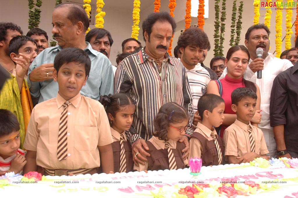 Balakrishna Birthday Function 2009