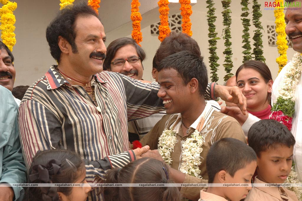 Balakrishna Birthday Function 2009