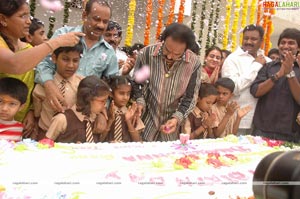 Balakrishna Birthday Function 2009