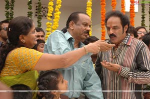 Balakrishna Birthday Function 2009