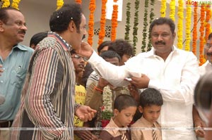 Balakrishna Birthday Function 2009