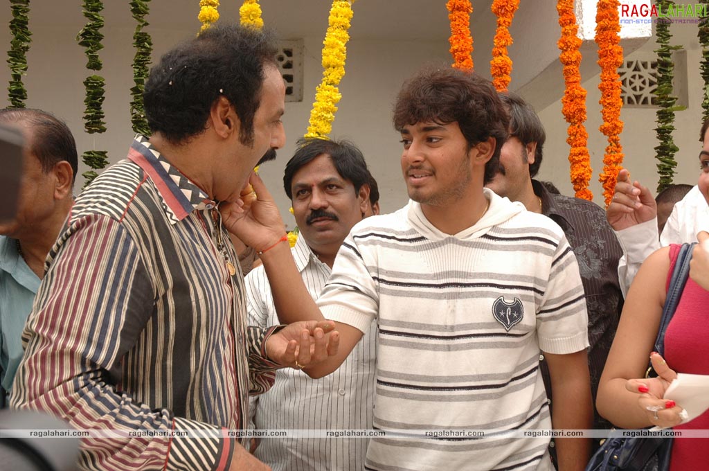 Balakrishna Birthday Function 2009