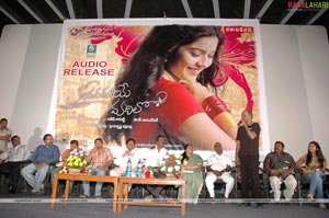 Kalavaramaye Madilo Audio Release