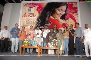 Kalavaramaye Madilo Audio Release