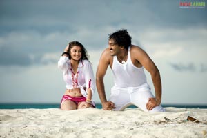 Ajay, Madhurima