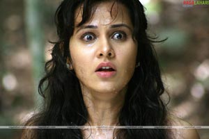 Nithin, Nisha Kothari/Priyanka Kothari