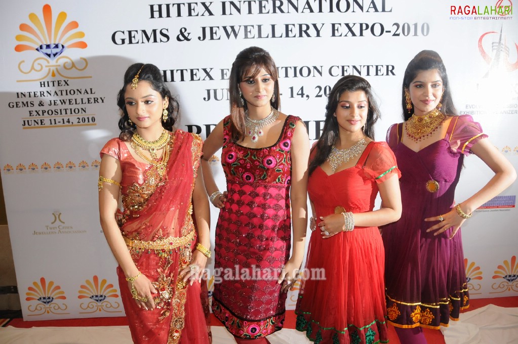 HITEX International Gems & Jewellery Expo 2010 (Gallery 1)